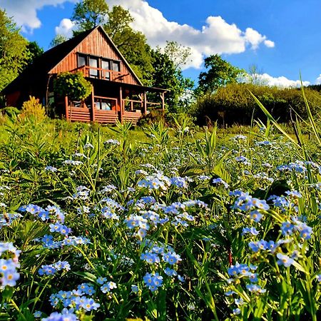 Piaskowy Kon - Mountain Lodge & Spa- Karkonosze Mniszkow  Exterior photo